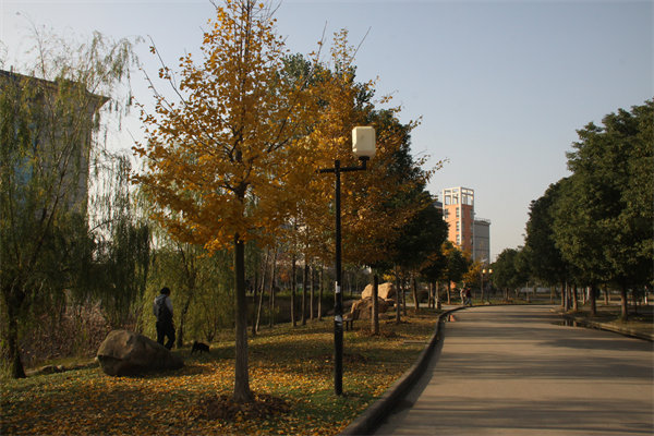 图为学校道路小景_压缩.jpg